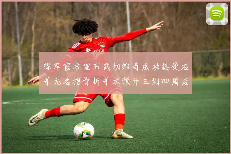 绿军官方宣布武切维奇成功接受右手无名指骨折手术预计三到四周后复查