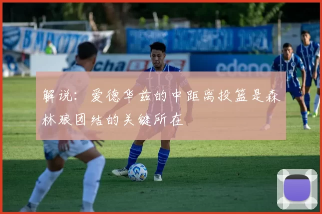 解说：爱德华兹的中距离投篮是森林狼团结的关键所在